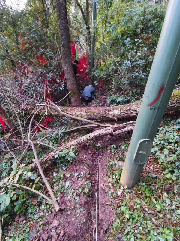 树木避雷针安装